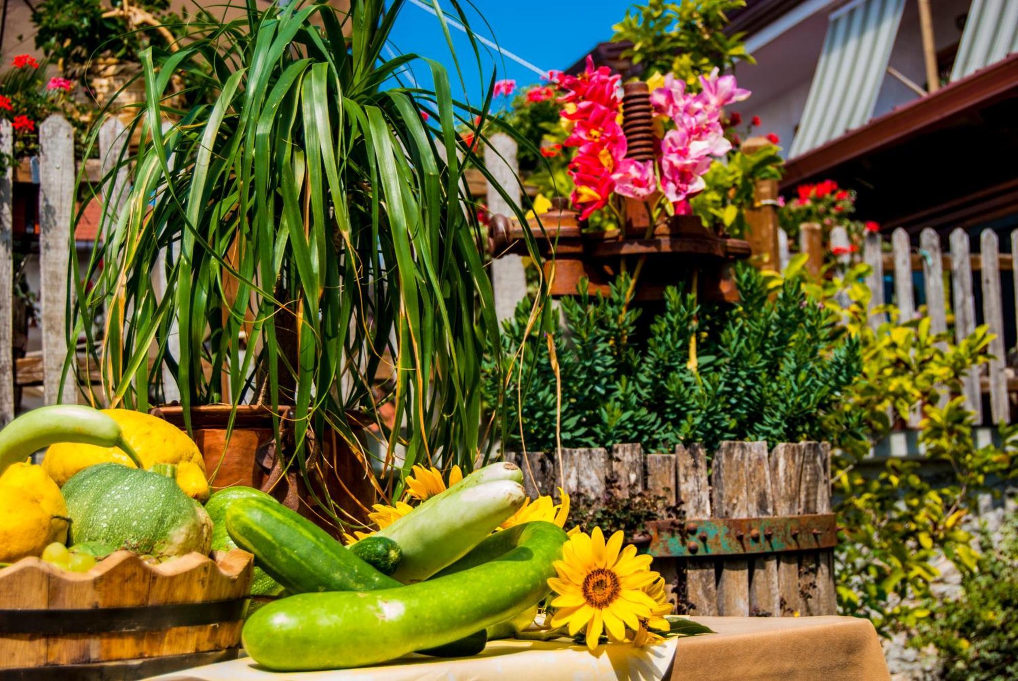 Agriturismo Mare E Monti Agerola Eksteriør bilde