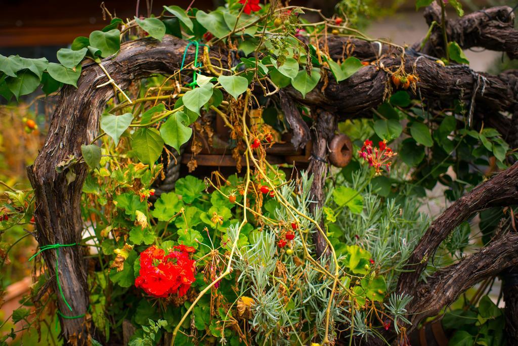 Agriturismo Mare E Monti Agerola Eksteriør bilde