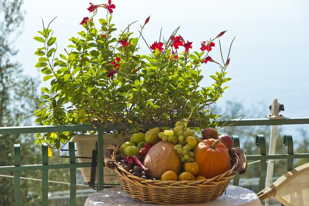Agriturismo Mare E Monti Agerola Eksteriør bilde