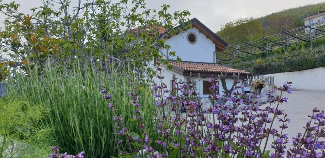 Agriturismo Mare E Monti Agerola Eksteriør bilde