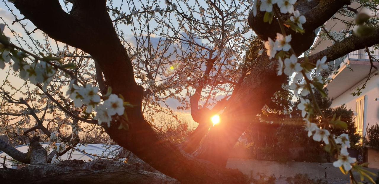 Agriturismo Mare E Monti Agerola Eksteriør bilde